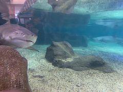 -鸿通城购物中心