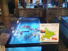 -蟹道乐(網元別館店)
