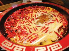 -叉叉裤鲜火锅(空港新城店)