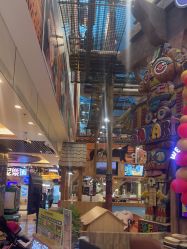 -卡通尼·Safari非洲探索乐园·生日会(金桥国际商业广场店)