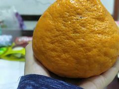 -小土豆北方菜馆(文慧园店)