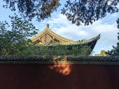 -永乐宫