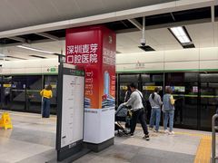 -大剧院(地铁站)