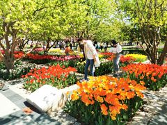 -石家庄市植物园