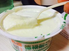 -德禄酸奶(莫家街店)