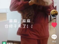 -瑞派宠物医院(锦江店)