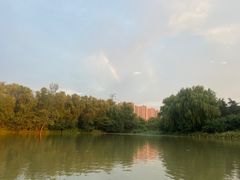 -昆山城市生态森林公园