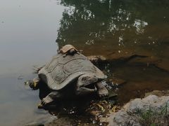 -陶祖圣境风景区