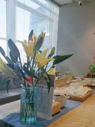 -卡莫瑜伽·普拉提