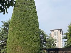 -宋庆龄陵园