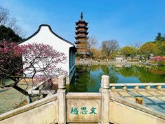 -红梅公园