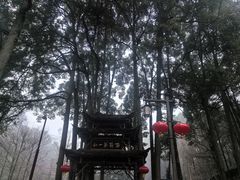 -青城山