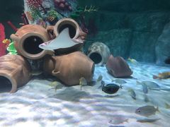 -沈阳海洋探索中心