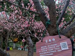 -南溪山景区