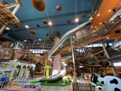 -卡通尼·Safari非洲探索乐园·生日会(金桥国际商业广场店)