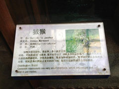 1.9-上海大自然野生昆虫馆
