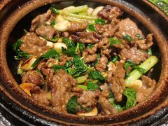 -煲煲好(朝阳门店)