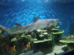 -石林冰雪海洋世界