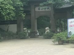 -镇江市南山风景名胜区竹林景区