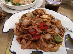 -新松记