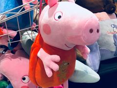 -天虹购物中心(石路店)