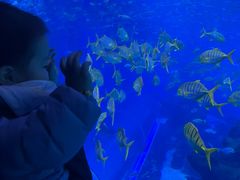 -成都浩海立方海洋公园