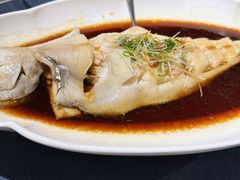 -金狮麟·新豫菜(金码大厦店)