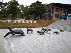 -广东惠东海龟国家级自然保护区