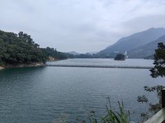 -广州市流溪河国家森林公园