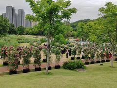 -牛岗山公园