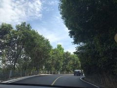 -溪口-滕头旅游景区