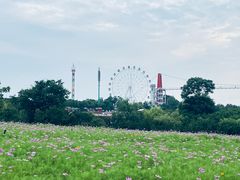 -花博汇(知音花月夜)