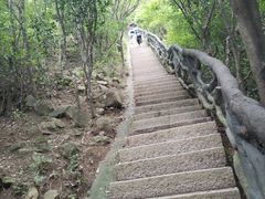 -梧桐山风景名胜区