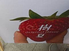 -树夏(建设路店)