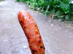 -太鲁阁公园
