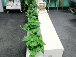 -斐尔国际皮肤管理中心