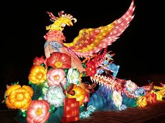 -武汉园博园(武汉自然博物馆)