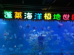 -蓬莱欧乐堡海洋极地世界