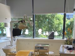 -泰康拜博口腔(世博园乐尔店)