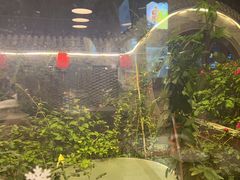 -金谷园饺子·烧烤(人大总店)