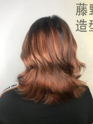 -藤野造型