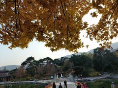 -香山公园