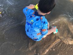 -碧海金沙