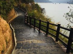 -羚羊峡古栈道森林公园