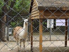 -长白岛森林公园