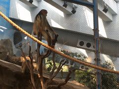 -香港海洋公园
