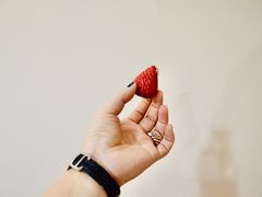 -静宜和她的朋友(星海广场店)