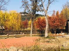 -苏州上方山国家森林公园