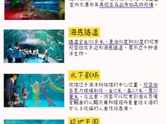 -泉城欧乐堡海洋极地世界