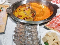 -大龙燚火锅